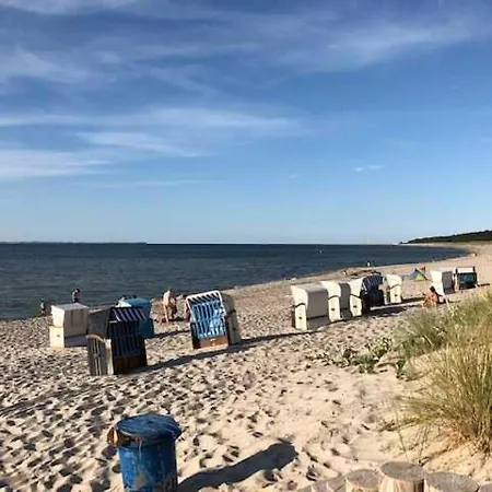 Blaumuschel Haus B 35 - Dh *