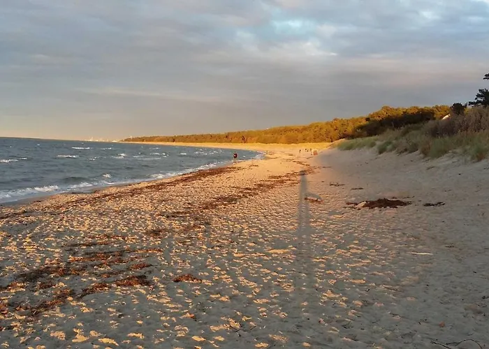 Blaumuschel Haus B 35 - Dh